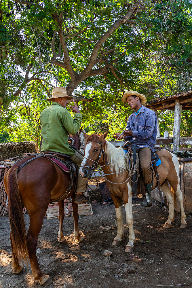 Cowboys in discussion, with their horses, at a farm near Trinidad, Cuba 3 (2 Model Releases)