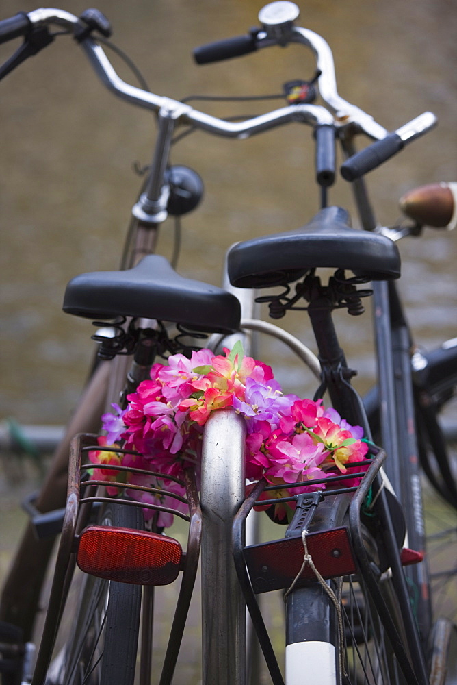 Old bicycles and flower chain, Amsterdam, Netherlands, Europe