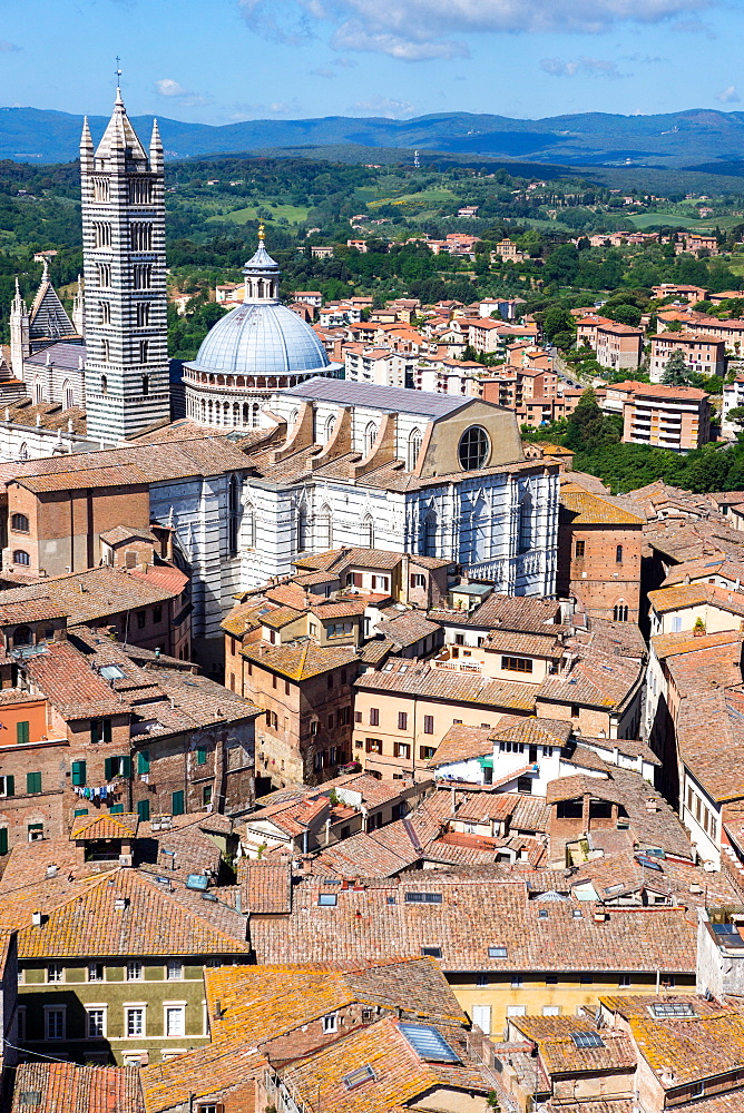 View of Duomo from Torre del Mangia, Piazza del Campo, UNESCO World Heritage Site, Siena, Tuscany, Italy, Europe