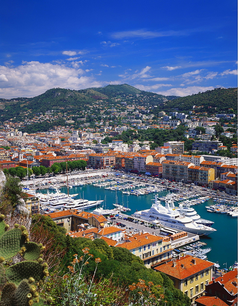 Elevated View of the Marina at Port Lympia in the Cote d'Azur, France