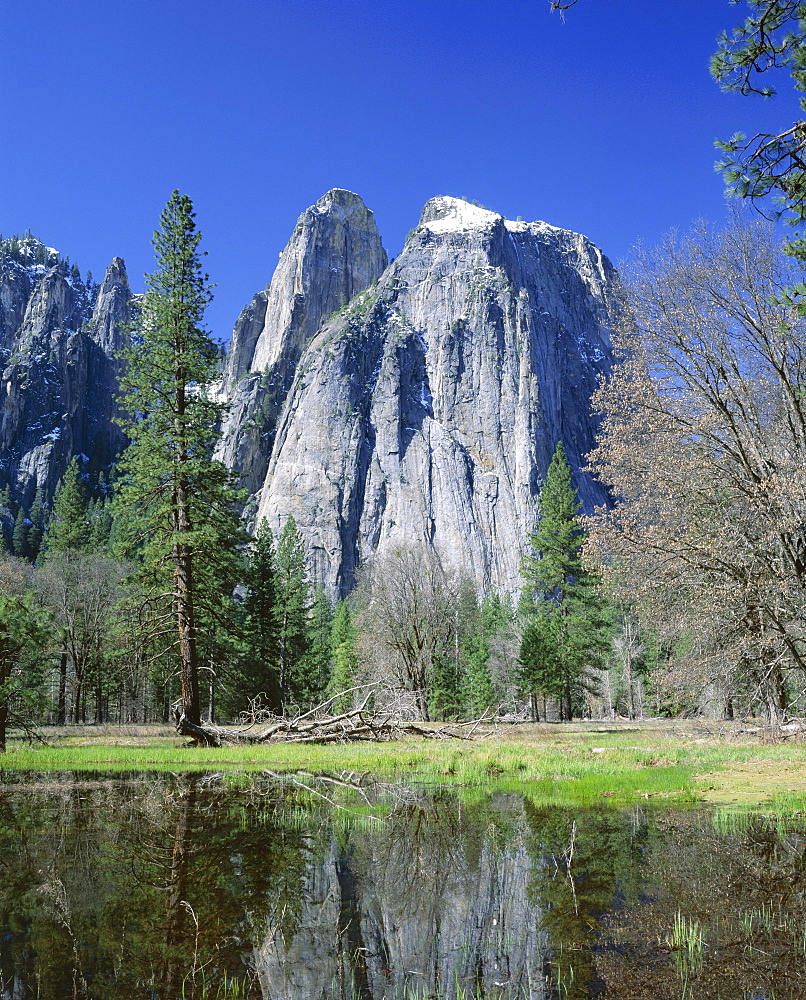 Cathedral Rocks reflected in water, Yosemite National Park, UNESCO World Heritage Site, California, United States of America (USA), North America