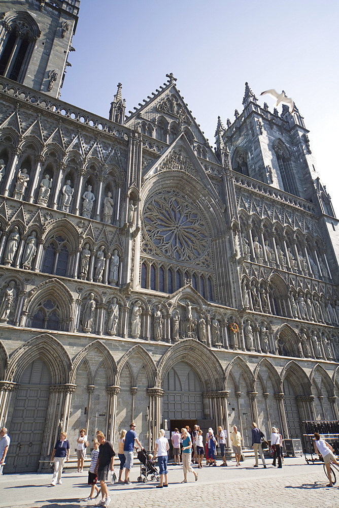 Exterior of the west front, with seagull flying over, Nidaros Cathedral, Trondheim, Trondelag, Norway, Scandinavia, Europe