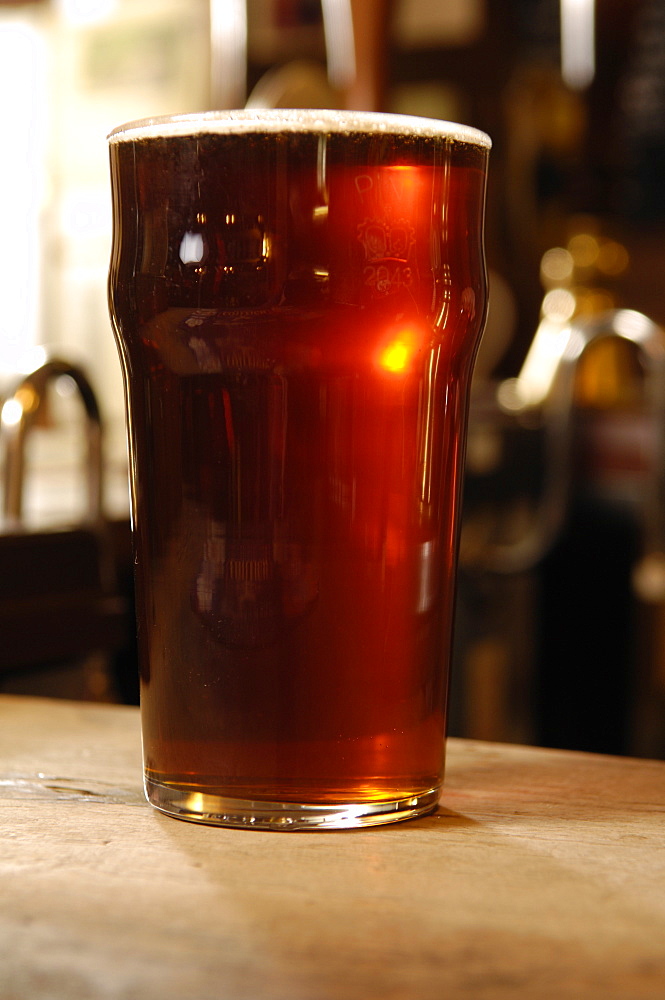 Pint of beer in a pub, England, United Kingdom, Europe