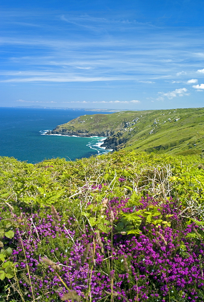 Coast near St. Ives, Cornwall, England, United Kingdom, Europe