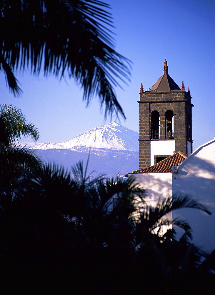 Church tower with Mount Teide behind, from Sauzal, Tenerife, Canary Islands, Spain, Atlantic, Europe