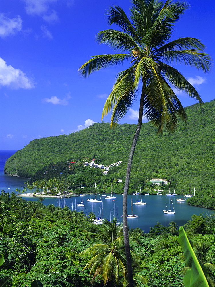 Marigot Bay, St. Lucia, Windward Islands, Caribbean, West Indies, Central America