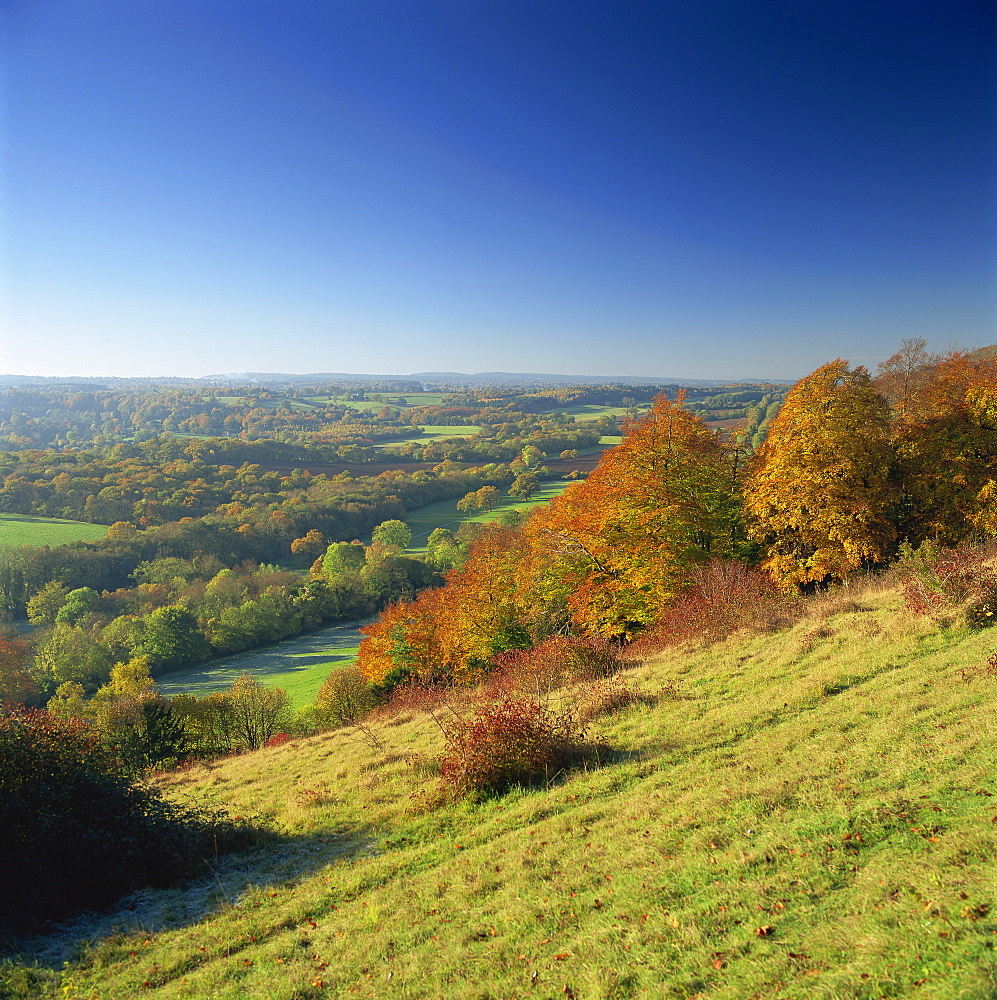 View from North Downs, Dorking, Surrey, England, United Kingdom, Europe