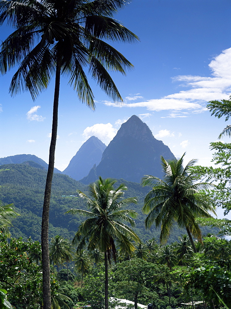 The Pitons, St. Lucia, Windward Islands, West Indies, Caribbean, Central America