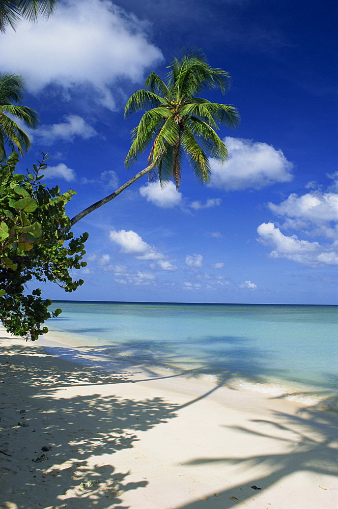 Pigeon Point, Tobago, West Indies, Caribbean, Central America