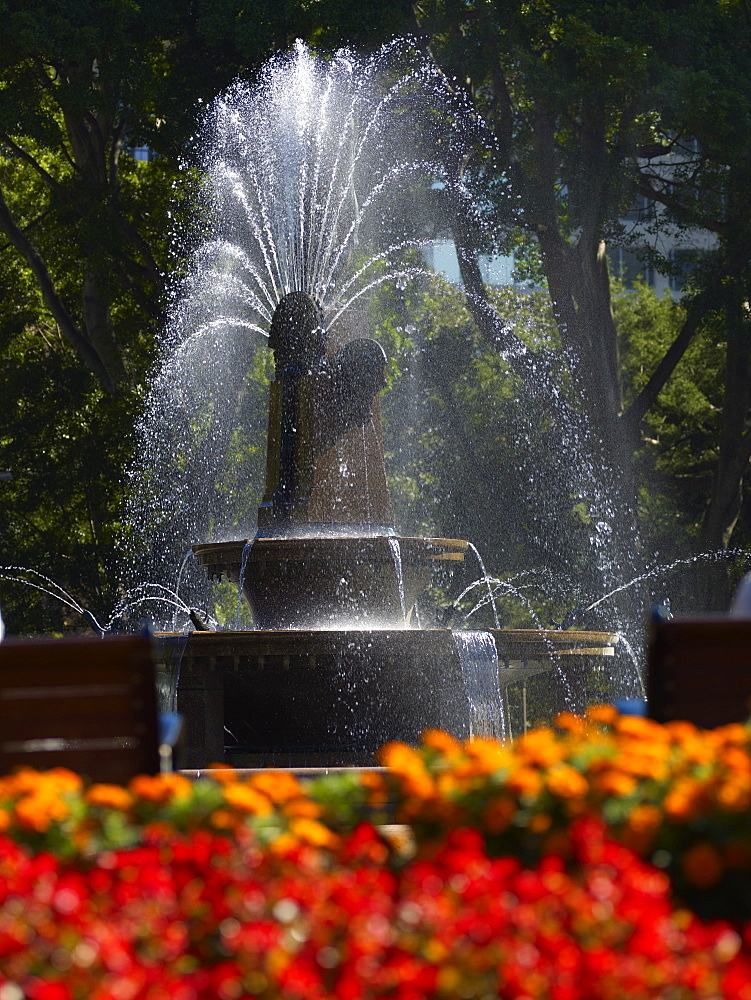 Fountain, Hyde Park, Sydney, New South Wales, Australia, Pacific