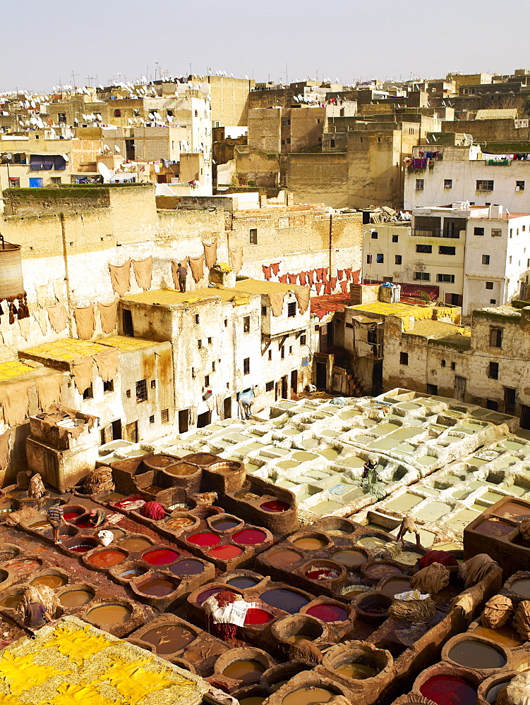 Tannery, Fez, Morocco, North Africa, Africa