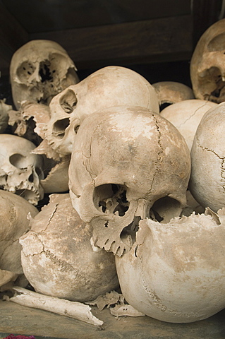 Some of the 9000 skulls, The Killing Fields, Choeung Ek, Phnom Penh, Cambodia, Indochina, Southeast Asia, Asia