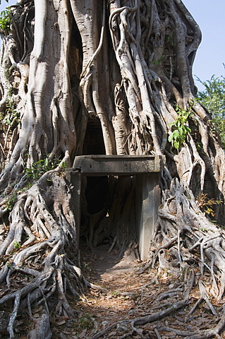 Temples in the ancient pre Angkor capital of Chenla, Cambodia, Indochina, Southeast Asia, Asia