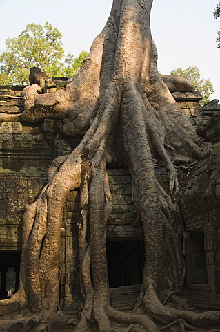 Ta Prohm Kei temple, Angkor Thom, Angkor, UNESCO World Heritage Site, Siem Reap, Cambodia, Indochina, Southeast Asia, Asia