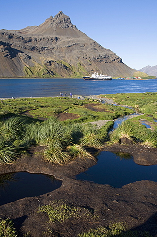 Grytviken, South Georgia, South Atlantic