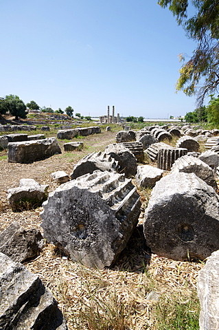 The Lycian site of Letoon, UNESCO World Heritage Site, Antalya Province, Anatolia, Turkey, Asia Minor, Eurasia