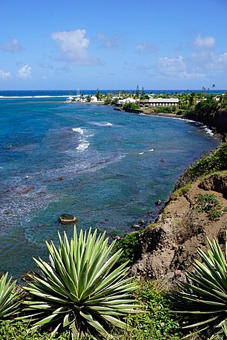 Atlantic coast, St. Kitts, St. Kitts and Nevis, Leeward Islands, West Indies, Caribbean, Central America 