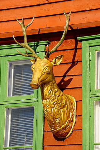 Traditional wooden Hanseatic merchants buildings of the Bryggen, UNESCO World Heritage Site, Bergen, Norway, Scandinavia, Europe