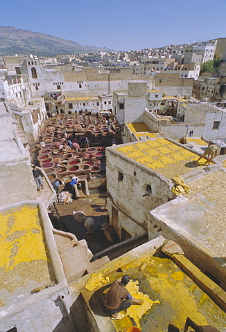 The tanneries, Fez (Fes), Morocco, North Africa, Africa