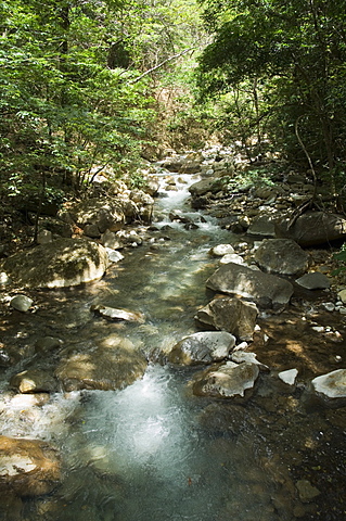 Rincon de la Vieja National Park at foot of Rincon Volcano,  Gaunacaste, Costa Rica