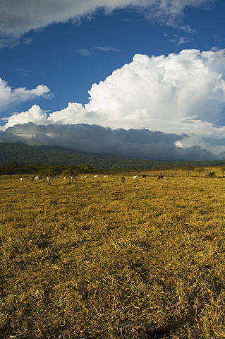 Clouds over the Rincon Volcano, near Rincon de la Vieja National Park, Gaunacaste, Costa Rica