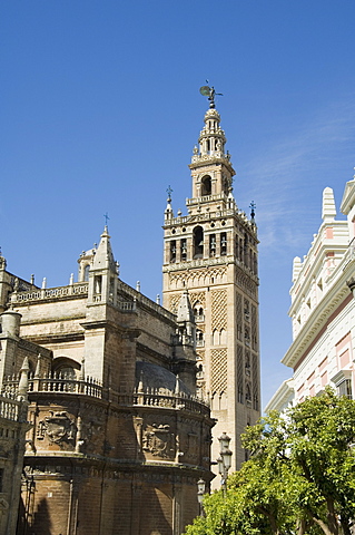 Seville Cathedral, Santa Cruz district, Seville, Andalusia (Andalucia), Spain, Europe