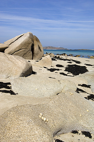 Tresco, Isles of Scilly, off Cornwall, United Kingdom, Europe