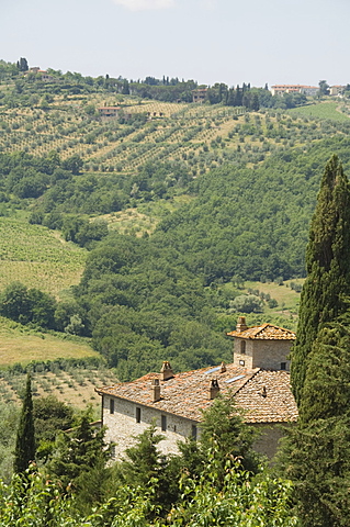 Near Radda, Chianti, Tuscany, Italy, Europe