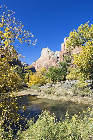 Zion National Park, Utah, United States of America, North America