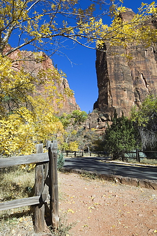 Zion National Park, Utah, United States of America, North America