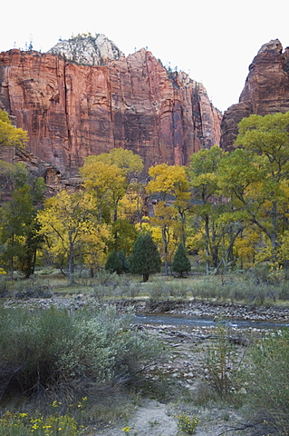 Zion National Park, Utah, United States of America, North America