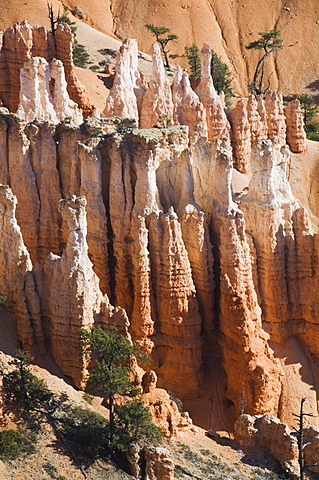 Bryce Canyon National Park, Utah, United States of America, North America