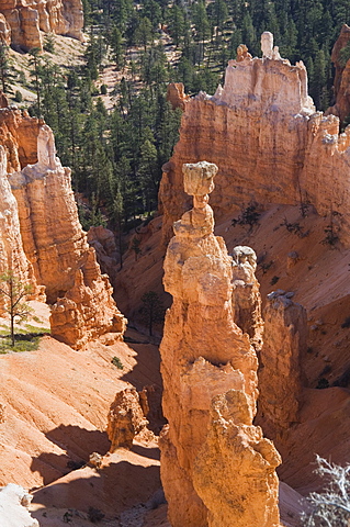 Bryce Canyon National Park, Utah, United States of America, North America