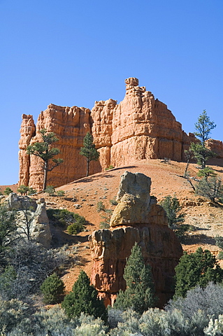 Red Canyon in Dixie National Forest, Utah, United States of America, North America