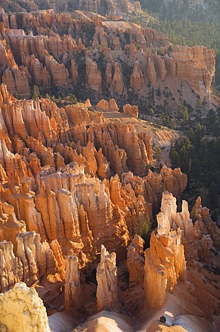 Bryce Canyon National Park, Utah, United States of America, North America