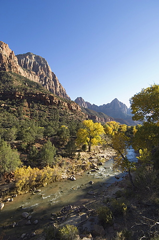 Zion National Park, Utah, United States of America, North America