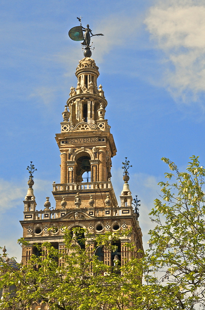 Giralda, Seville, Andalucia, Spain, Europe