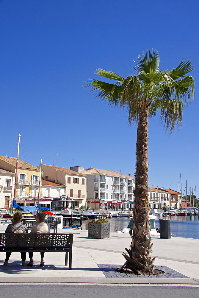 Women on a bench near a palm tree, on the quay of Meze harbor, Herault, Languedoc Roussillon region, France, Europe