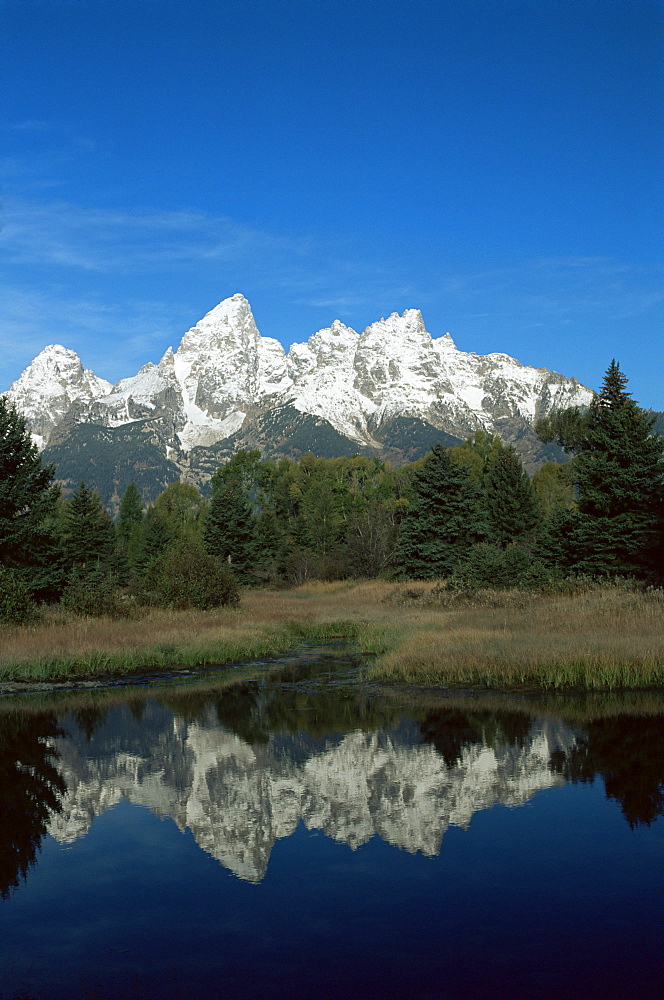 Schwarbacher's Landing, Grand Teton National Park, Wyoming, United States of America (U.S.A.), North America