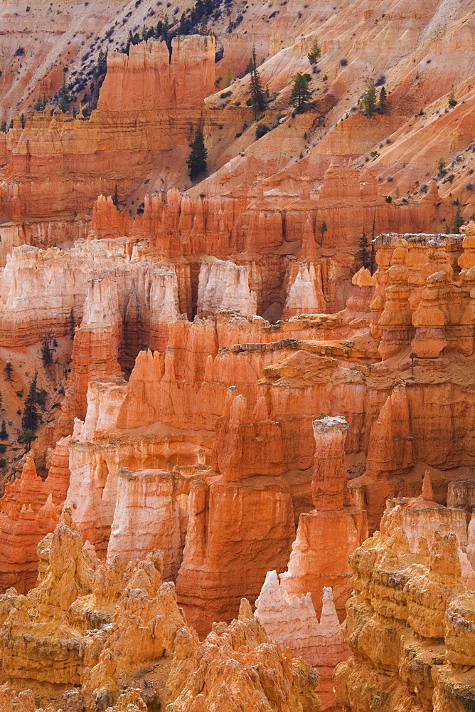 Thor's Hammer, Bryce Canyon National Park, Utah, United States of America, North America