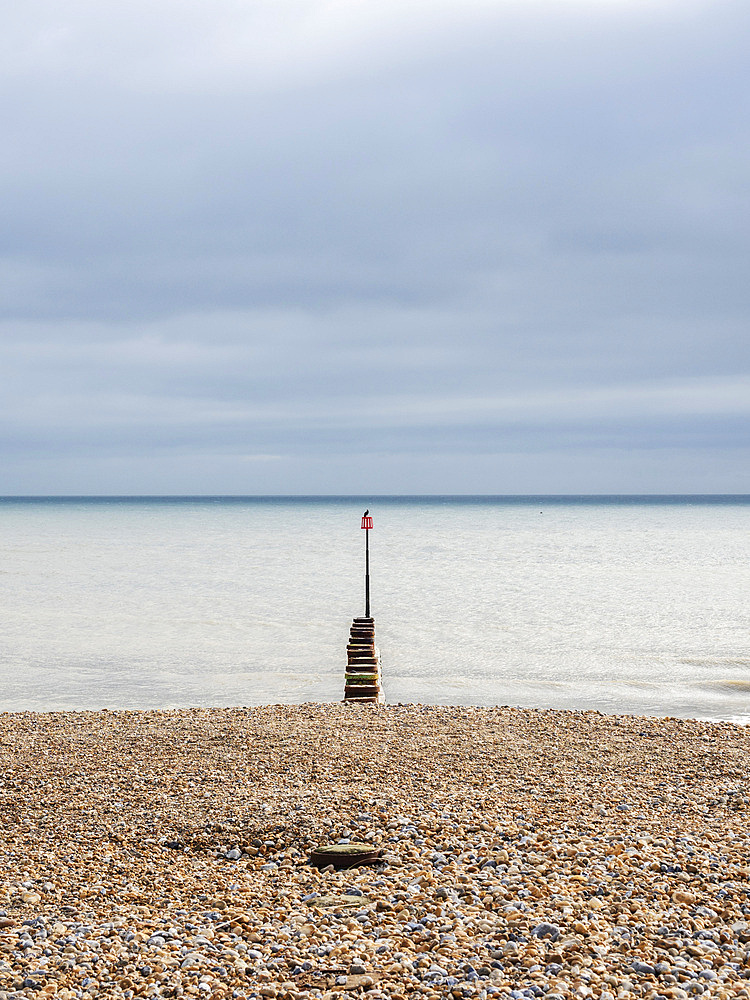 Bird on marker post, The Beach, Eastbourne, East Sussex, England, United Kingdom, Europe