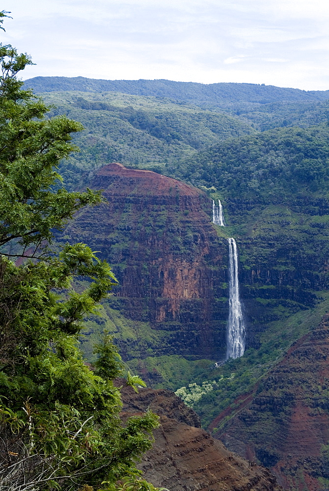 Waimea Canyon, Kauai, Hawaii, United States of America, North America