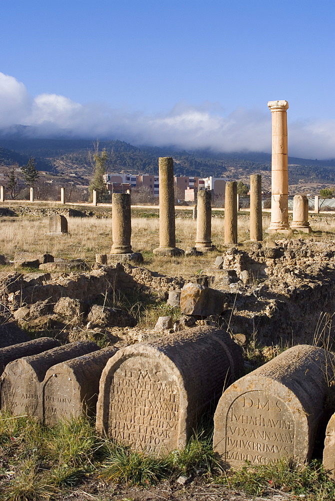 Memorials at the base of the Crossing Hall, at the Roman ruins of the barracks of the Third Augustan Legion, Lambaesis, Algeria, North Africa, Africa