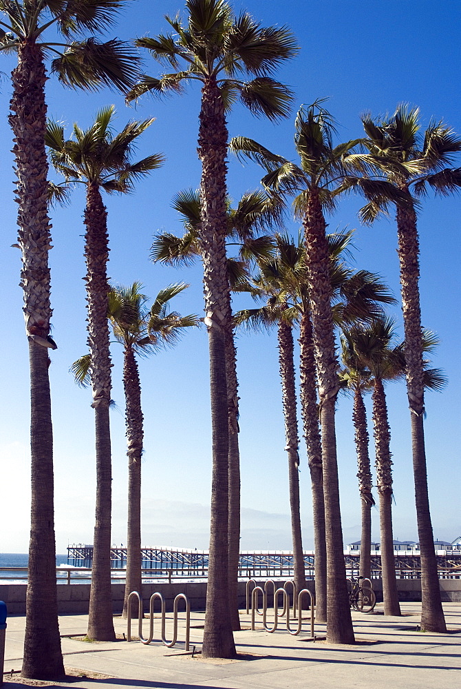 Pacific Beach and pier, San Diego, California, United States of America, North America