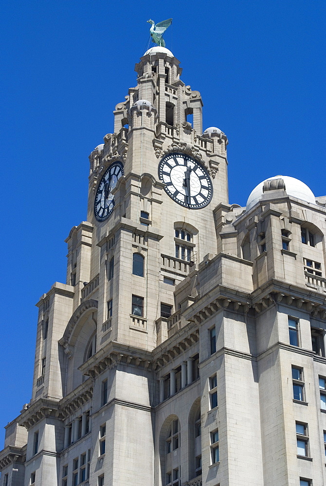 The Liver Building, one of the Three Graces, Liverpool, Merseyside, England, United Kingdom, Europe