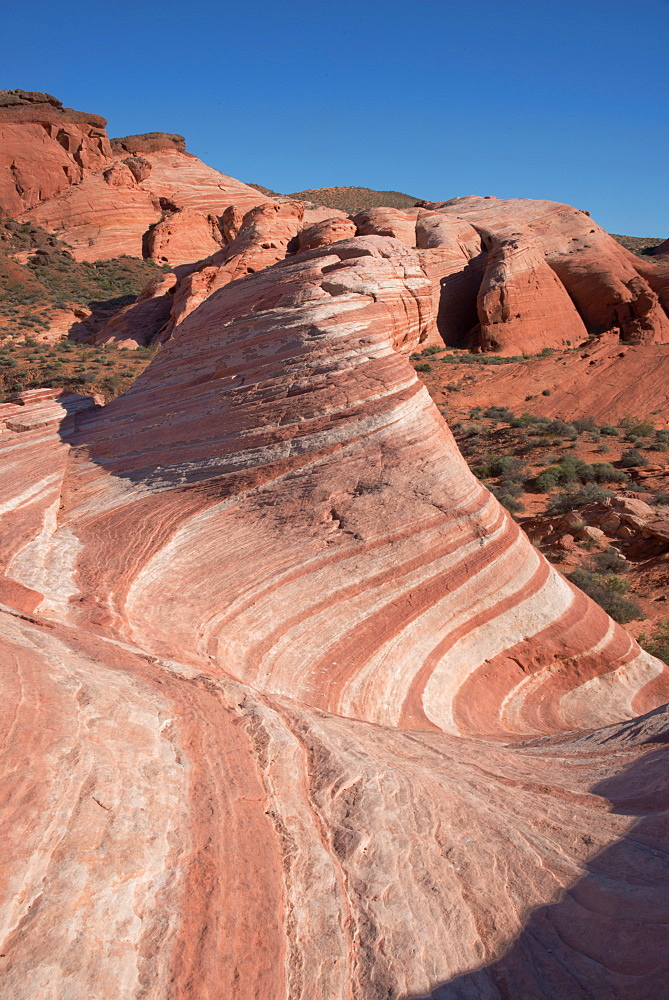 The Fire Wave, Valley of Fire, near Las Vegas, Nevada, United States of America, North America