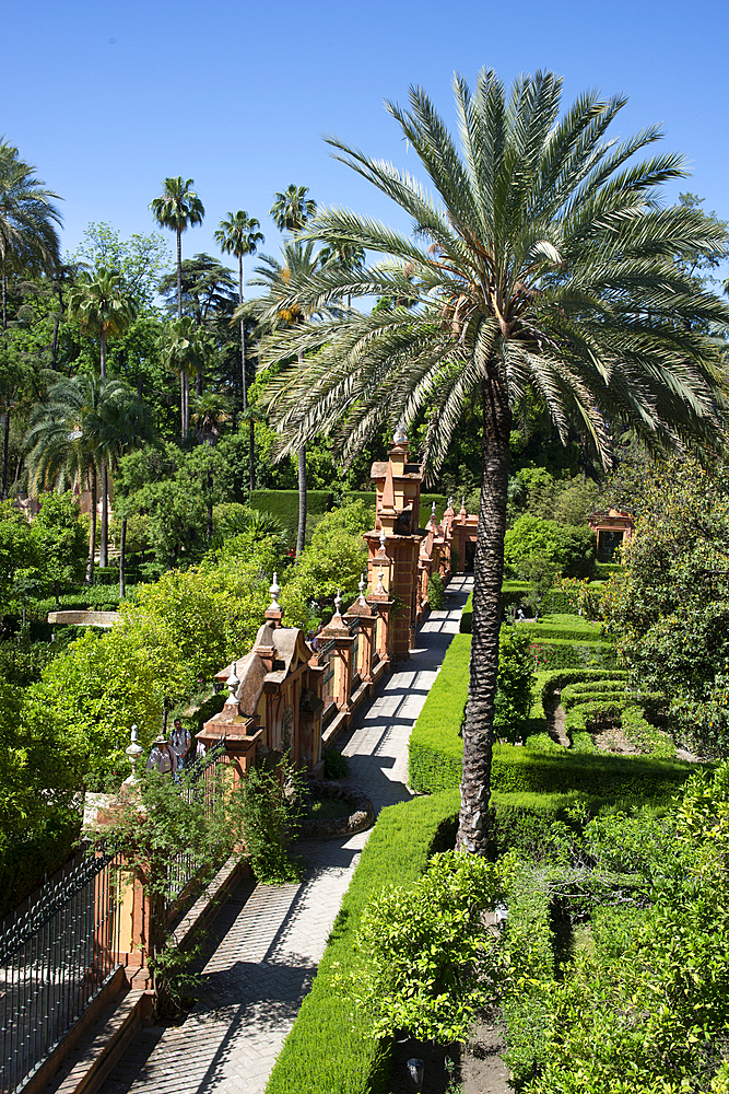 Gardens, Alcazar, UNESCO World Heritage Site, Seville, Andalusia, Spain, Europe