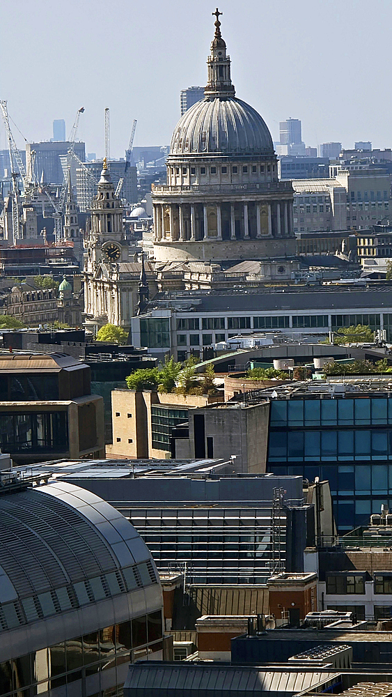 City view from the Garden at 120 Fenchurch St