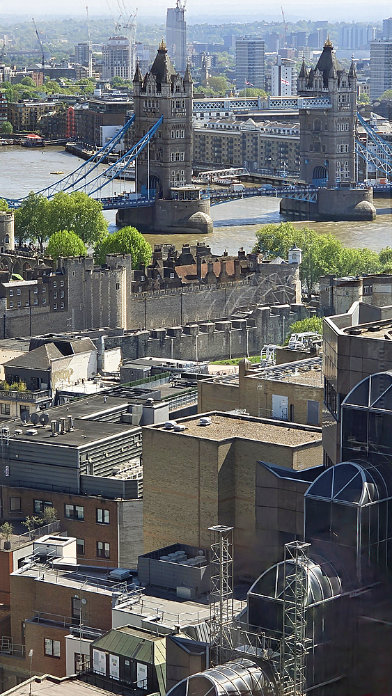 City views from the Garden at 120 Fenchurch Street