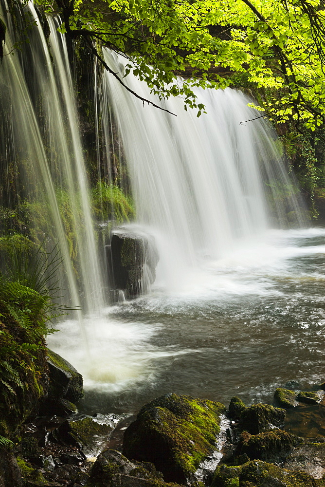 Sqwd Ddwli Waterfall, Brecon Beacons, Wales, United Kingdom, Europe